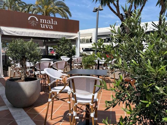 Local Comercial en alquiler en Guadalmina, Costa del Sol Occidental