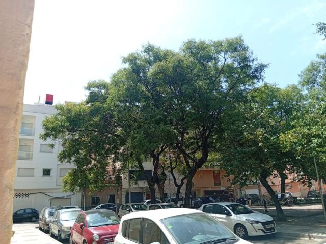 Local Comercial en venta en Jardín de la Abadía, Málaga