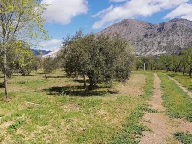 Nave en venta en Comarca de Los Montes, Andalucía