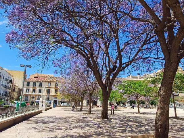Local Comercial en venta en Centro, Málaga-Costa del Sol