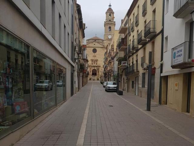 Local Comercial en venta en Garrigues, Catalunya