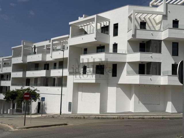 Local Comercial en alquiler en Colinas del Limonar, Málaga