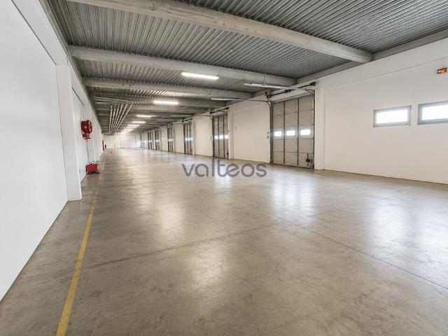 Local Commercial location à Toulouse, Fronton