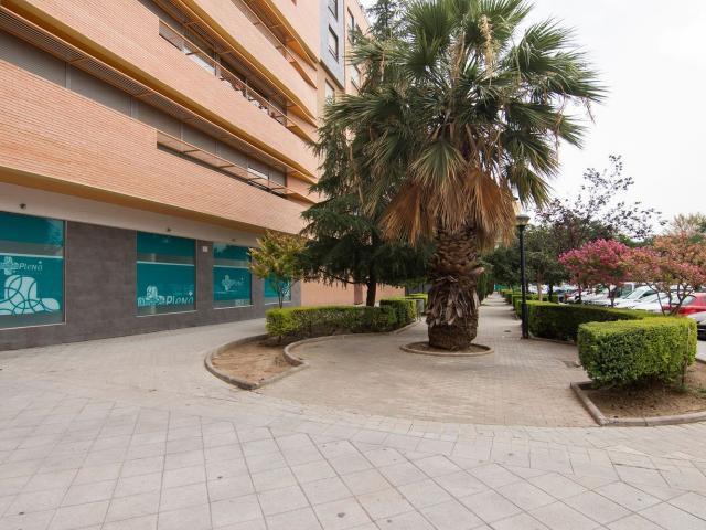 Local Comercial en alquiler en Granada, Pajaritos
