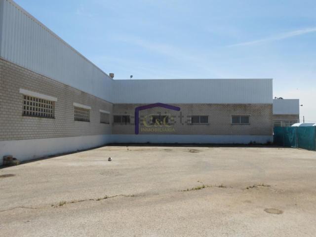 Nave en alquiler en Manzanares, Castilla-La Mancha
