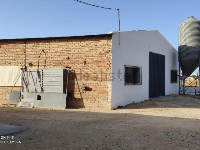 Nave en venta en Antequera, Andalucía