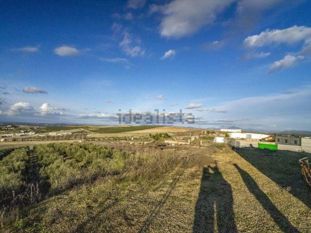 Local Comercial en venta en Antequera, Andalucía