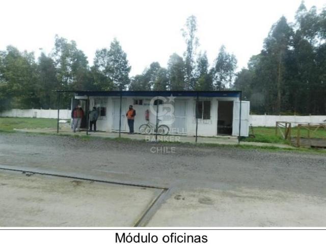 Local Comercial en venta en Arauco, Biobío