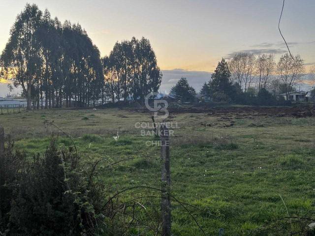 Local Comercial en venta en Frutillar, Los Lagos