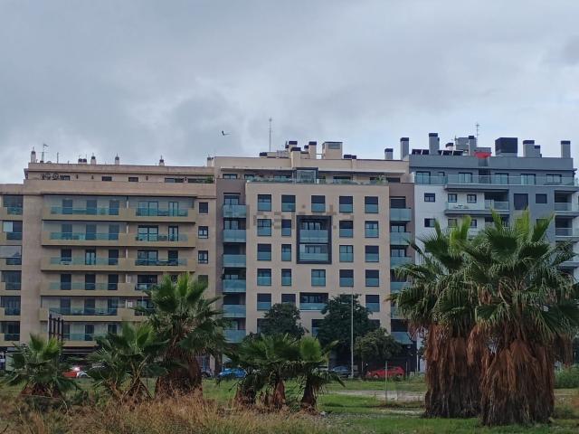 Local Comercial en alquiler en Carretera de Cádiz, Málaga-Costa del Sol