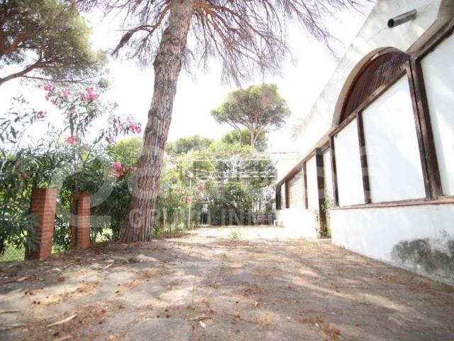 Local Comercial en venta en Estepona, Bel-Air