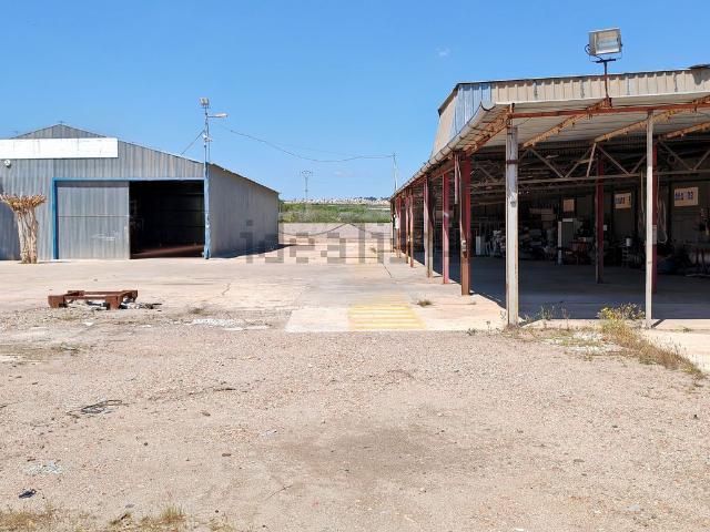 Nave en venta en Pinar de Campoverde, el Baix Segura / La Vega Baja