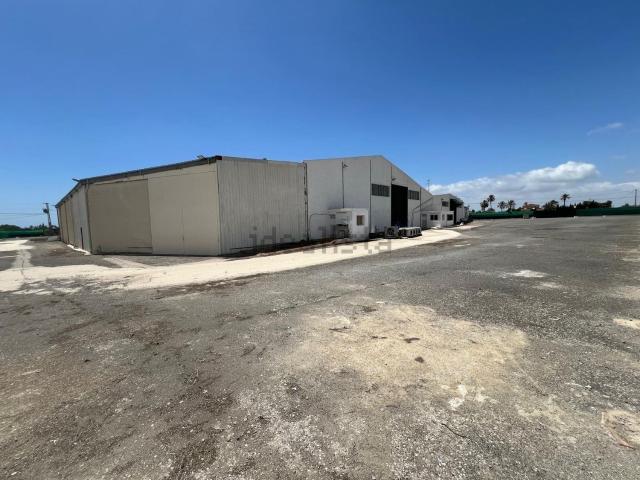 Nave en venta en la Foia, el Baix Vinalopó