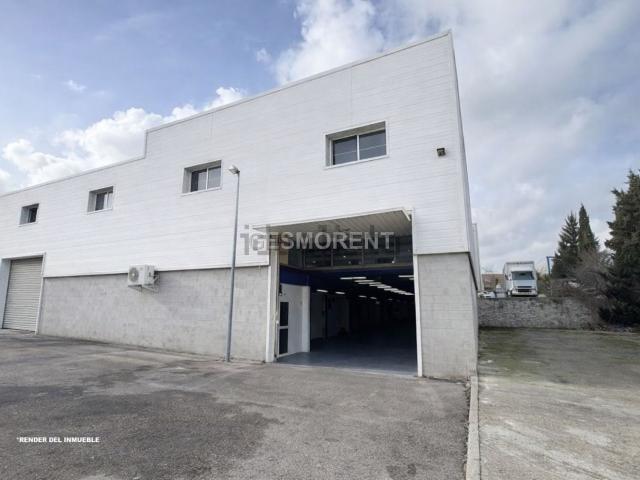 Nave en alquiler en Amanecer, Palma