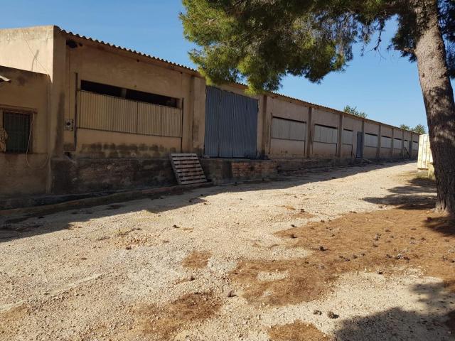 Nave en alquiler en Montsià, Catalunya