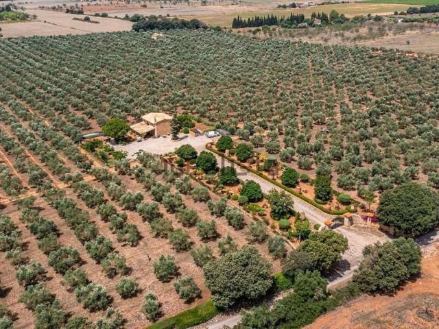 Local Comercial en venta en Pla de Mallorca, Baleares