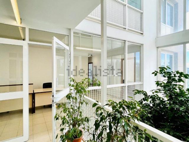 Local Comercial en alquiler en Son Ximelis, Palma