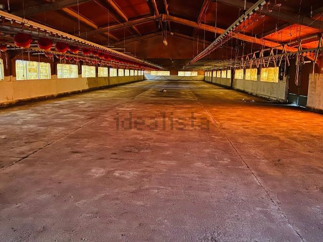 Nave en venta en la Plana Alta, Valencia