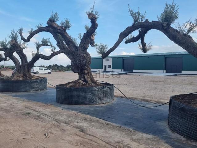 Nave en venta en els Reguers, Tortosa