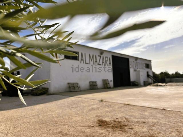 Nave en venta en Nororma, Andalucía