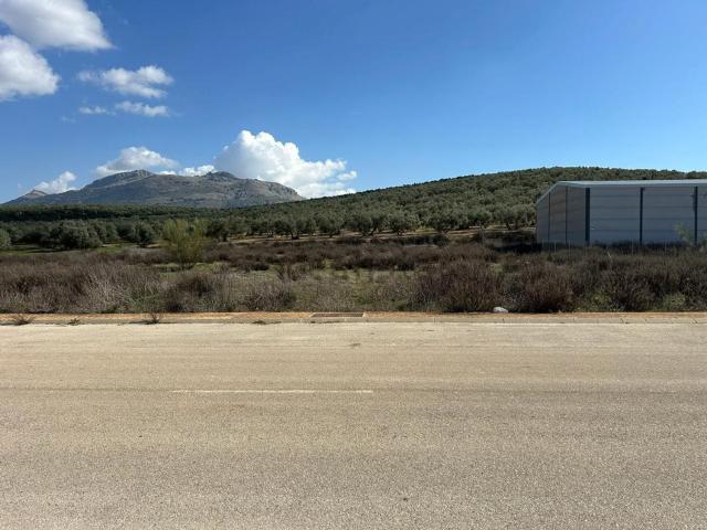 Nave en venta en Villanueva Del Trabuco, Málaga