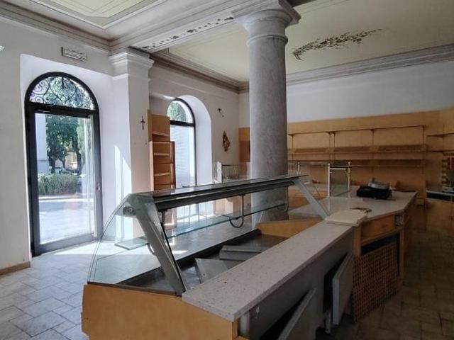 Locale Commerciale in affitto a Carrara, Toscana
