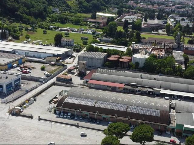 Locale Commerciale in affitto a Monticelli, Marche