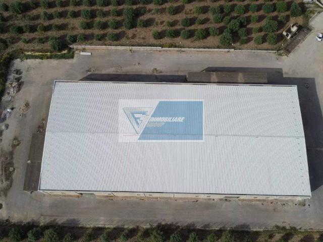 Locale Commerciale in affitto a Avola, Sicilia