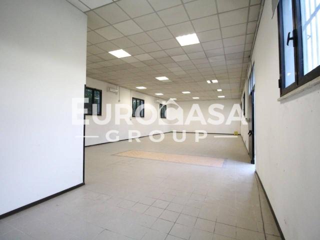 Ufficio in affitto a Santa Margherita, Capannori