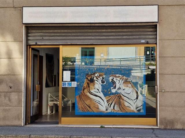 Locale Commerciale in affitto a Socco, Fino Mornasco