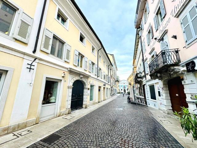 Locale Commerciale in affitto a Borgo Castello, Gorizia