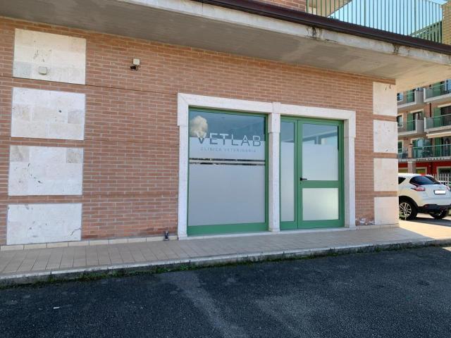 Locale Commerciale in affitto a San Lazzaro, Isernia