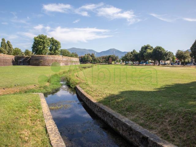 Locale Commerciale in affitto a San Concordio, Bagni Di Lucca Ponte