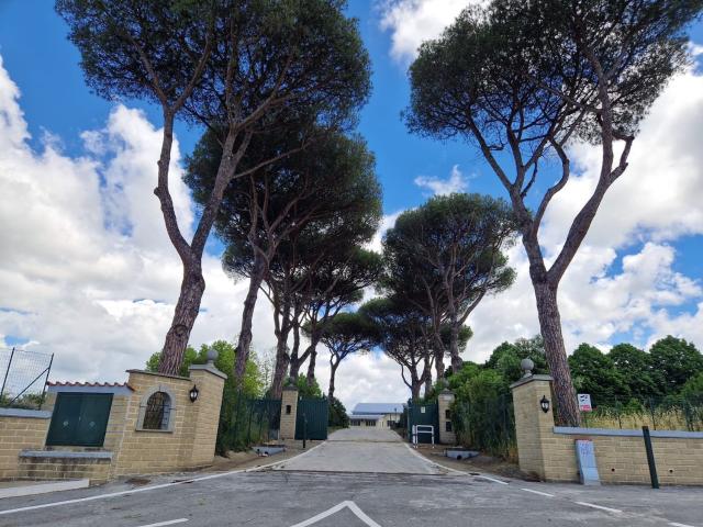 Locale Commerciale in affitto a Monte Migliore, Roma Capitale