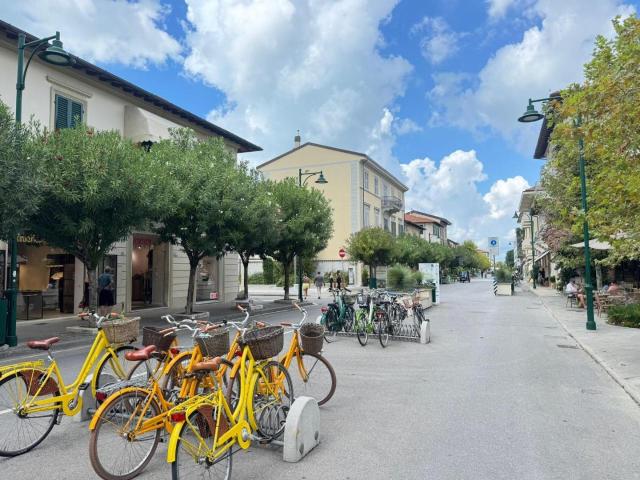Locale Commerciale in vendita a Roma Imperiale, Forte Dei Marmi