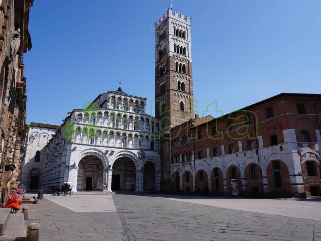 Locale Commerciale in vendita a Lucca