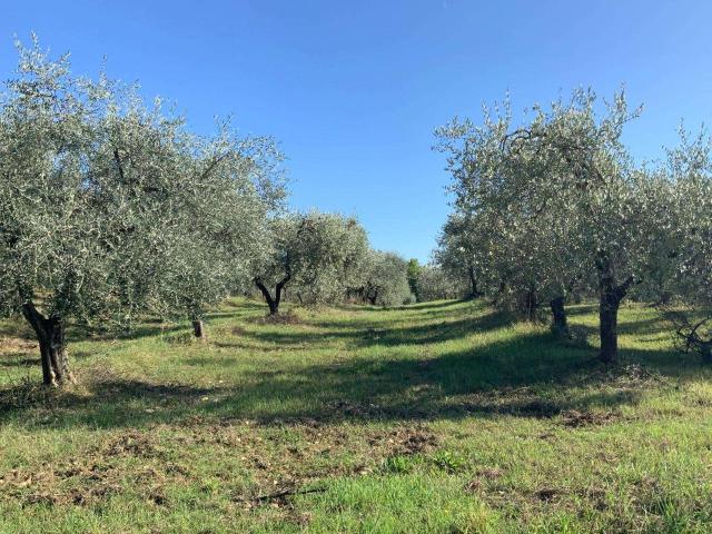 Locale Commerciale in vendita a Unione dei Comuni Circondario dell'Empolese Valdelsa, Montespertoli