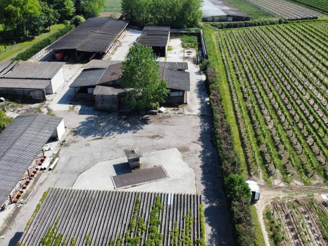 Locale Commerciale in vendita a Pernumia, Veneto
