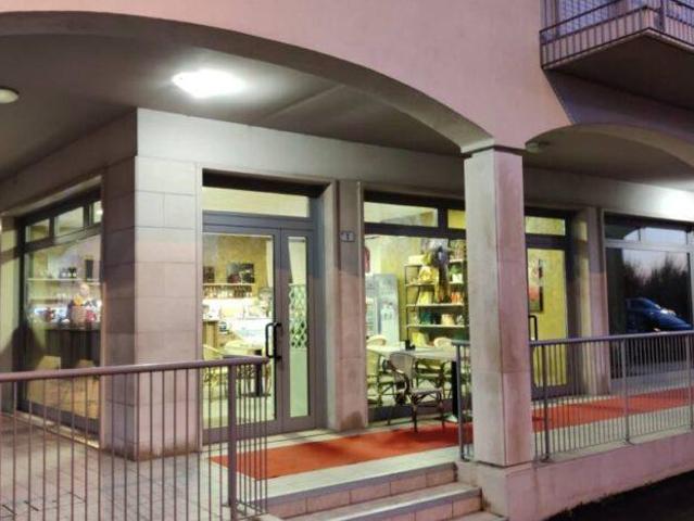 Locale Commerciale in vendita a Oltrebrenta, Noventa Padovana