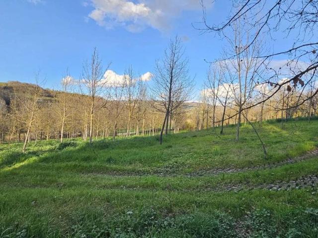 Locale Commerciale in vendita a Izzalini, Umbria