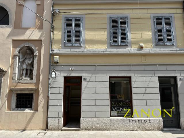 Locale Commerciale in vendita a Borgo Castello, Gorizia