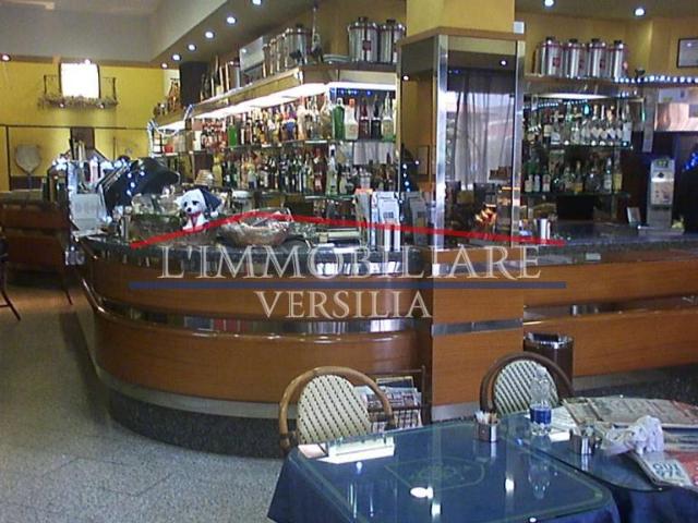 Locale Commerciale in vendita a Poggioletto, Marina Di Massa