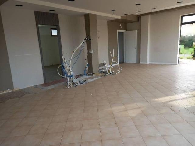 Locale Commerciale in affitto a Crespina