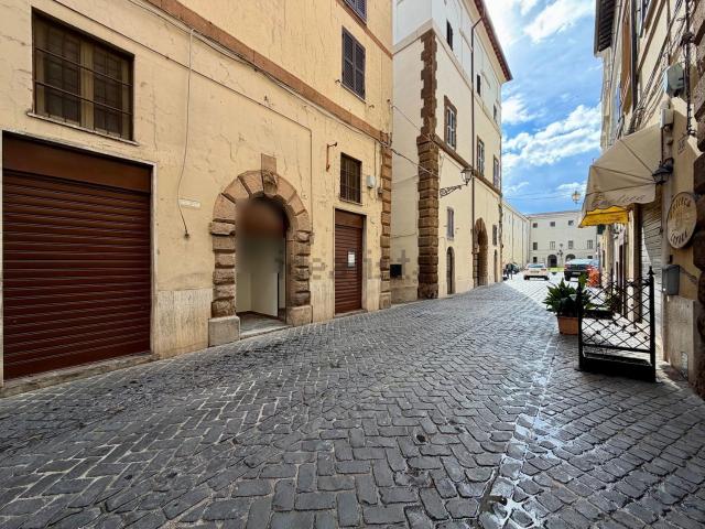 Locale Commerciale in affitto a Borgo San Martino, Zagarolo