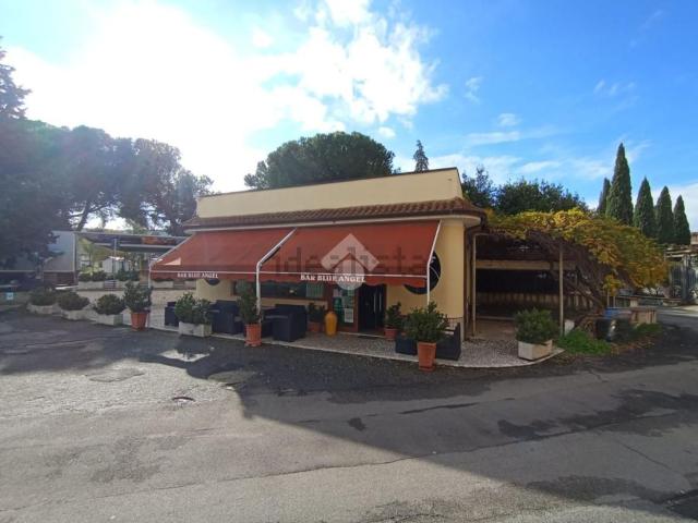 Locale Commerciale in affitto a Calabria, Cosenza