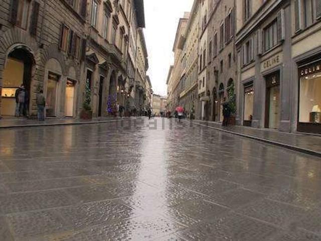 Locale Commerciale in affitto a Quartiere 1, Firenze