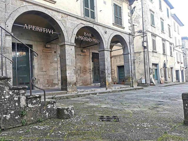 Locale Commerciale in affitto a Unione dei Comuni Montani Amiata Grossetana, Santa Fiora