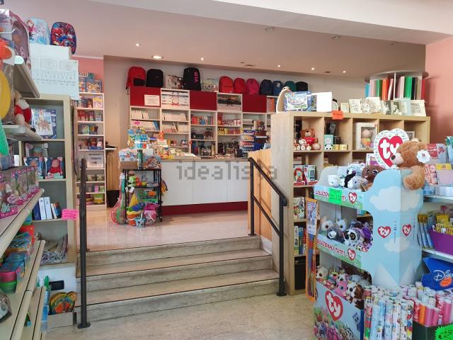 Locale Commerciale in affitto a Nord-Est, Brenzone