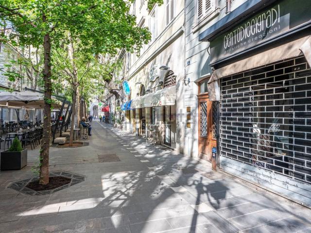 Locale Commerciale in affitto a Città Nuova-Barriera Nuova-San Vito-Città Vecchia, Villa Opicina