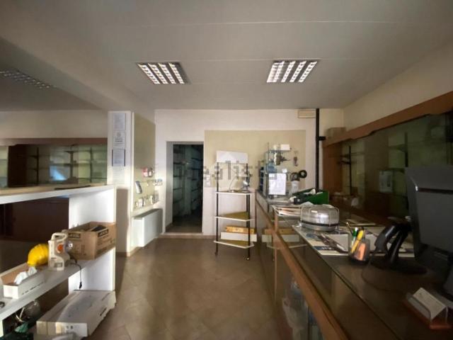 Locale Commerciale in affitto a Lo Sperone, Pistoia